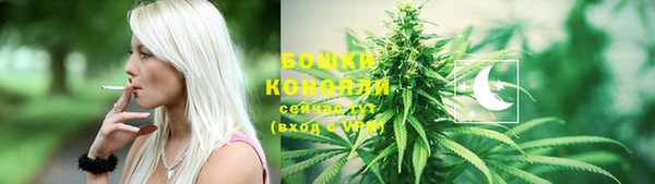 ПСИЛОЦИБИНОВЫЕ ГРИБЫ Аркадак