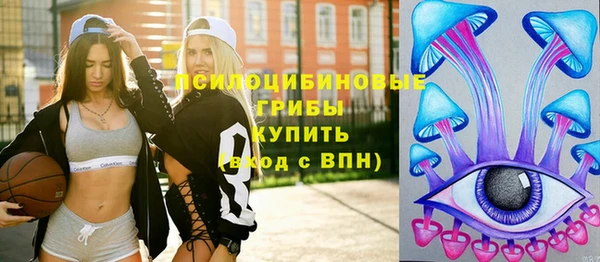 ПСИЛОЦИБИНОВЫЕ ГРИБЫ Аркадак