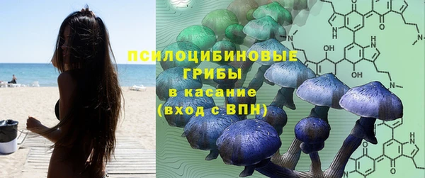 ПСИЛОЦИБИНОВЫЕ ГРИБЫ Аркадак